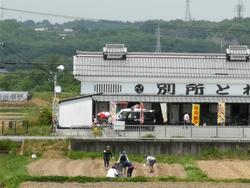 さつまいもの畝たて