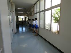 発育測定