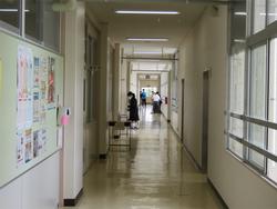 清掃活動