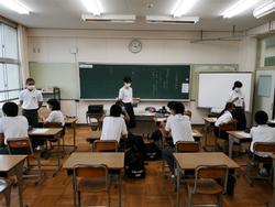 専門部会