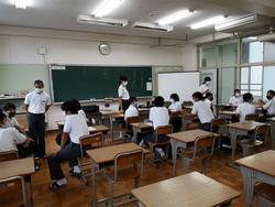 専門部会