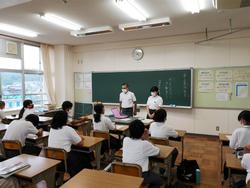 専門部会