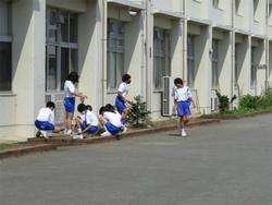 大掃除
