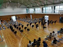南中ソーラン