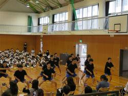 南中ソーラン