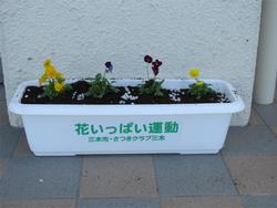 花いっぱい運動