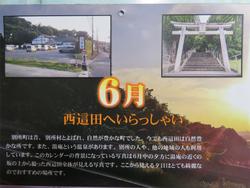 カレンダー