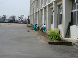 玄関・廊下等の清掃