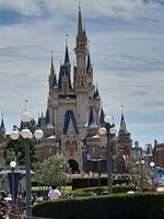 TDL8