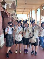 TDL4