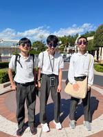 TDL3