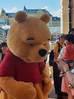 TDL6