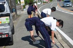 道路の橋のごみも
