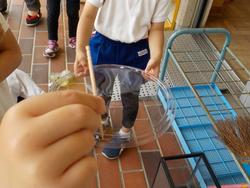 爪楊枝で穴をあける