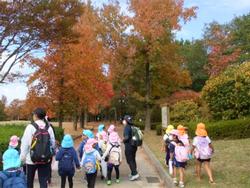 紅葉がきれい