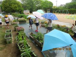 雨の中いちごを見にいく子ども