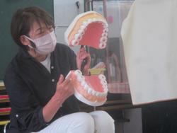 歯磨きの話