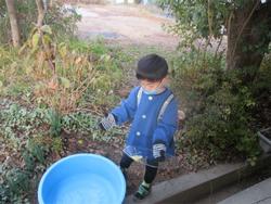 氷はできてる？