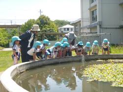 池をのぞき込むこどもたち