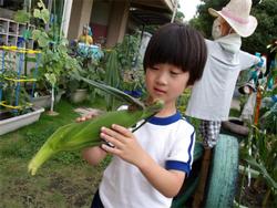 トウモロコシを持つ子ども