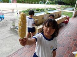 トウモロコシを持つ子ども