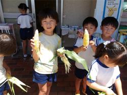 トウモロコシを持つ子ども