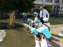 小学校の中庭