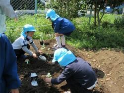 大きくなってね
