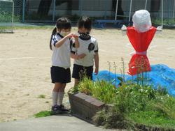 ここにもイチゴがあるからね。かかしを置こうね