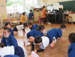 ダンゴムシになって遊んだよ