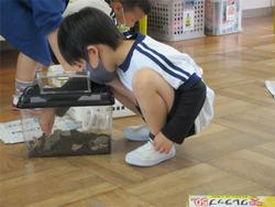 かわいいよ