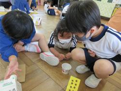 ダンゴムシと遊んでいます