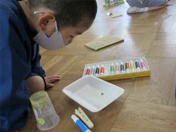 小さいダンゴムシ見ています