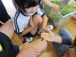 みんなで遊んだよ