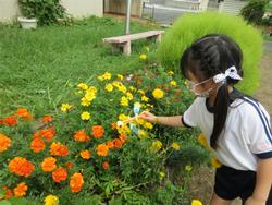 お花にもとまる？
