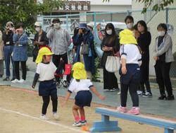 子どもバッタをお母さんが待ってくれます