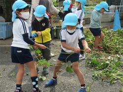 つるで引っ張り合い