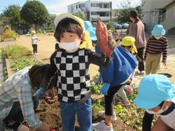 おいもほり楽しかったね