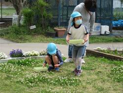 お花を集めています