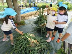 沢山、収穫出来たね