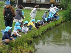 ザリガニ釣り