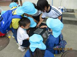 幼稚園へ連れて帰って来たよ