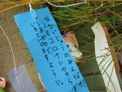 短冊