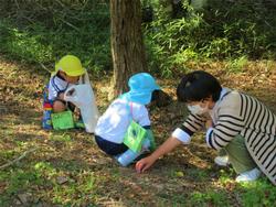 木の実見つけもしたよ