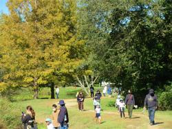 広々とした森林公園