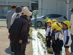 老人会の方々と花植え