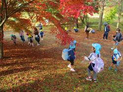 見ているだけで幸せな気分