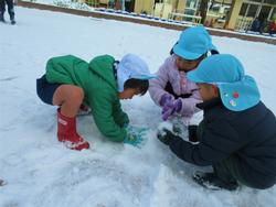 雪だ！