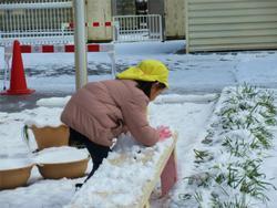 こんなところにも雪！