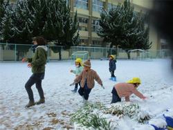 雪玉投げたよ